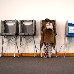 A person wearing a brown jacket votes at a voting booth.