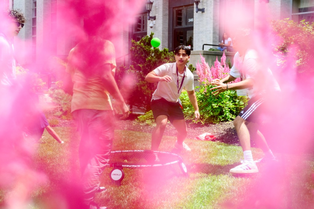 Through blurred flowers, people play an outdoor game together on a sunny day.