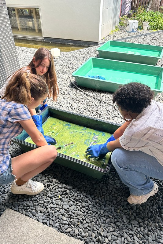 Estudiantes trabajando en un proyecto de arte dentro de una bañera al aire libre.