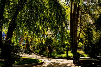 A person walks through a well-lit path lined by trees and greenery.