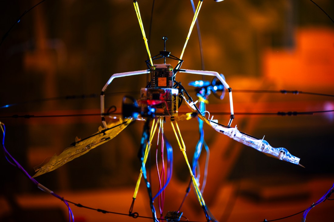 A closeup of the Aerobat robot.