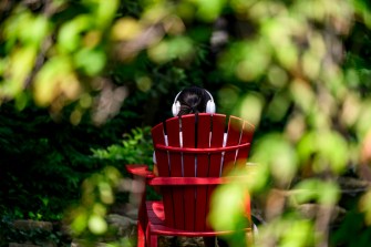 Slightly obscured by leafy green branches, a person sits in a red chair.