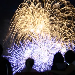 Spectators watch a fireworks show on the 4th of July.