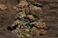 Rocks on Mars.