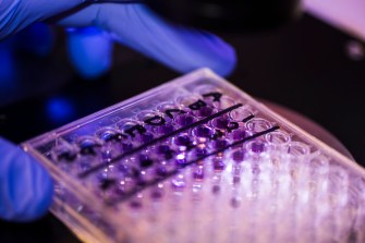 A row of T-Cells in a lab.