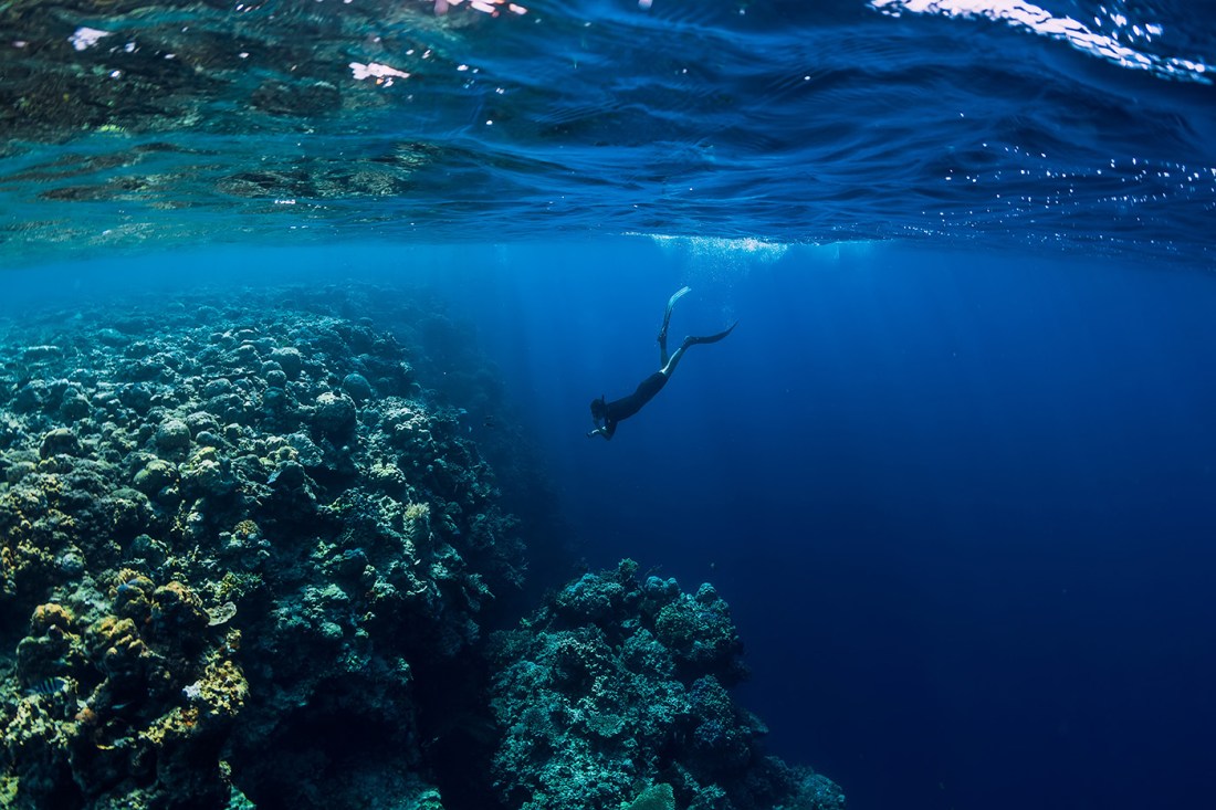 A diver approaching and observing coral under beautiful blue ocean water.