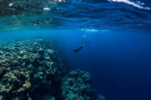 A diver approaching and observing coral under beautiful blue ocean water.