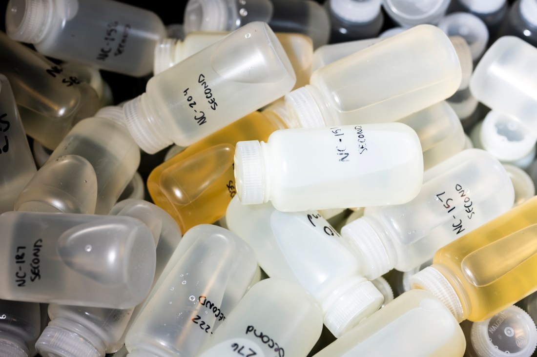 Water samples in labeled plastic bottles. 