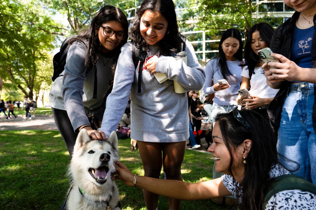 Multiple people pet a dog outside on a sunny day.