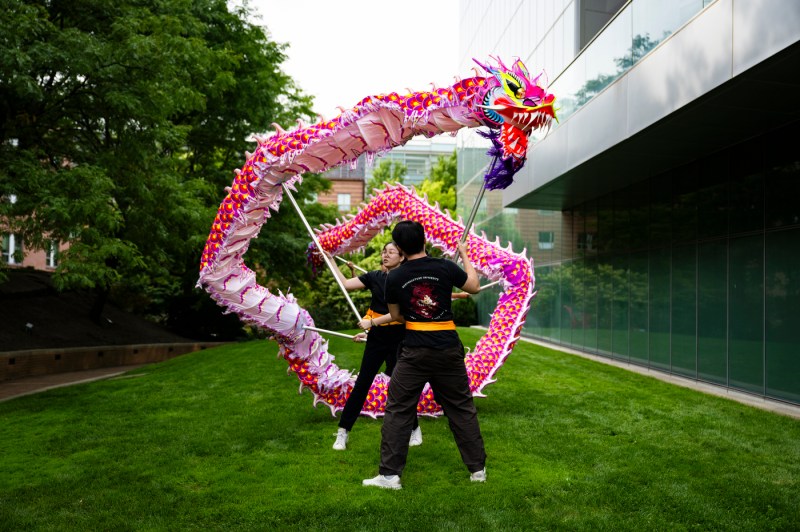 People perform a group dance with a multi-colored paper dragon outdoors.