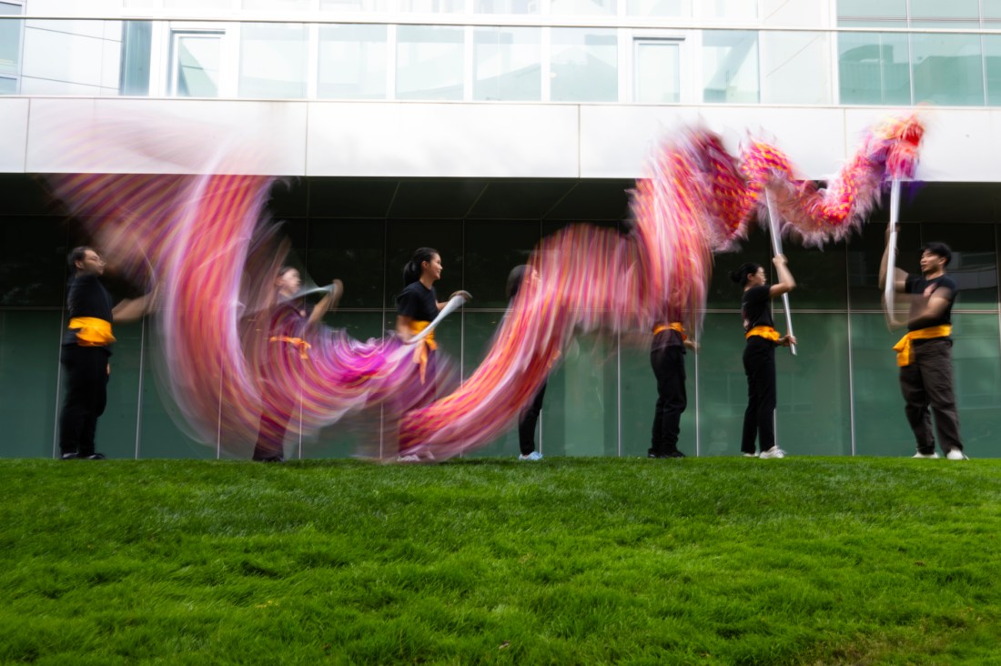 The Northeastern Dragon and Lion Dance Troupe members perform a colorful dragon dance routine outside.