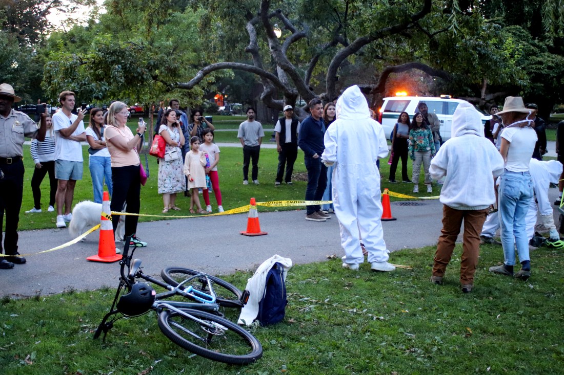 Passerbys stand behind yellow caution tape stretched between orange traffic cones taking photos of the beekeepers. 