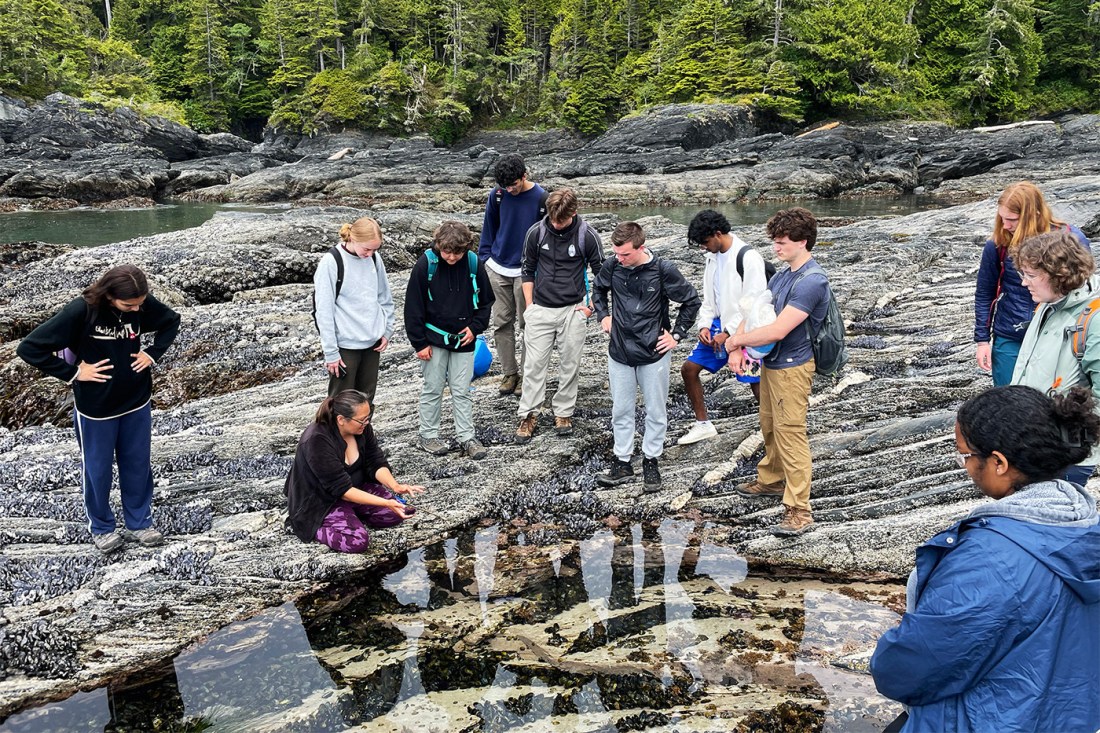 Students loooking at a pool of water in an old-growth forest in the Pacific Northwest.