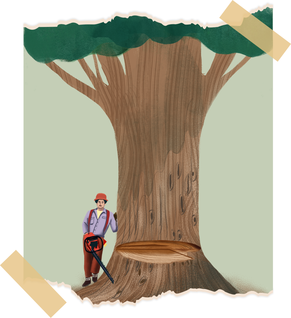 An illustration of a person using a chainsaw to cut into a tree. 