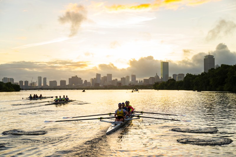 People in a boat rowing down a river while the sun sets behind them.