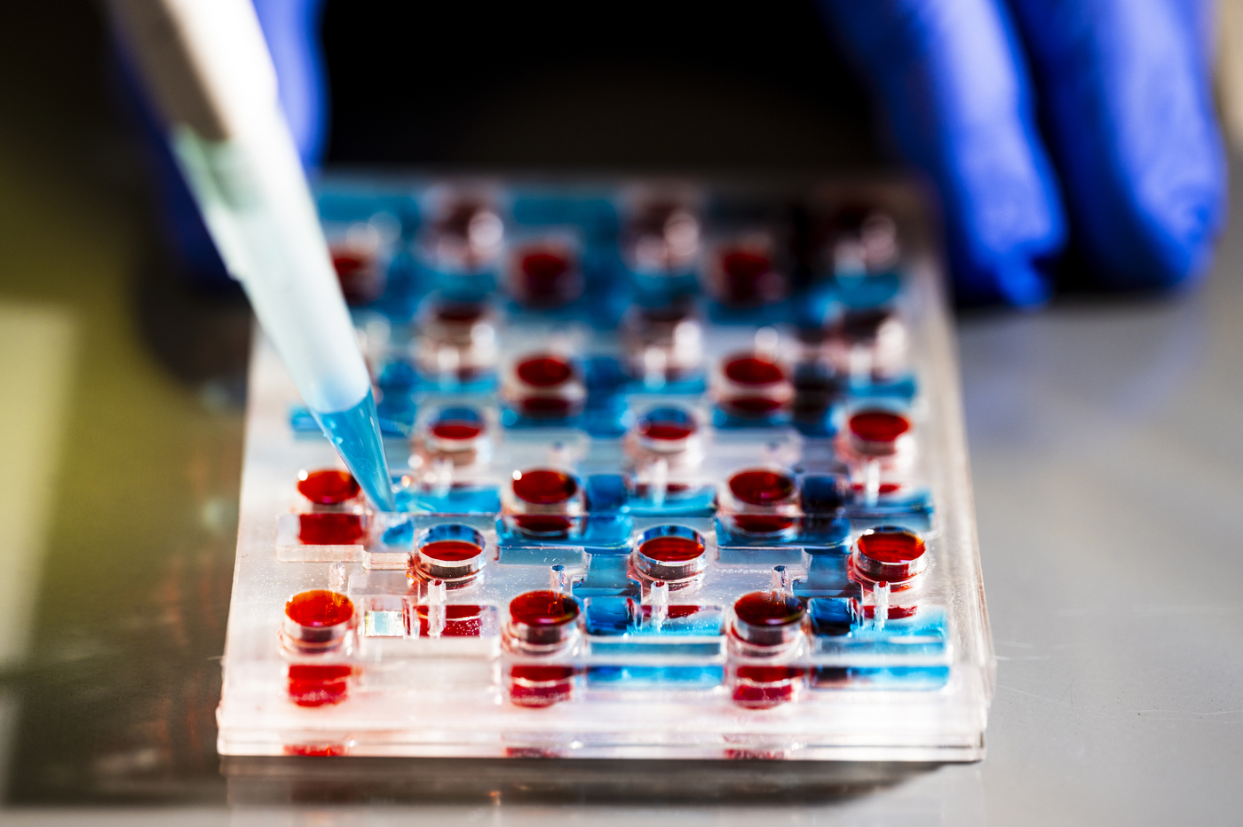 A close-up of lab equipment being used, with a gloved hand visible.