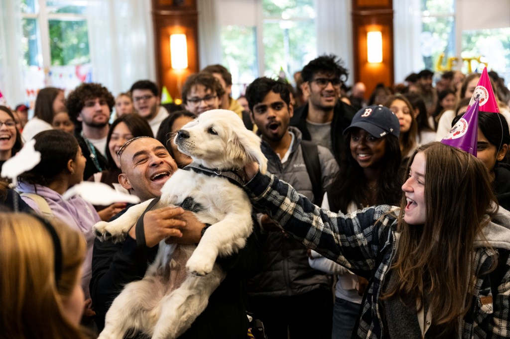 A puppy is held in the air by a crowd of people.