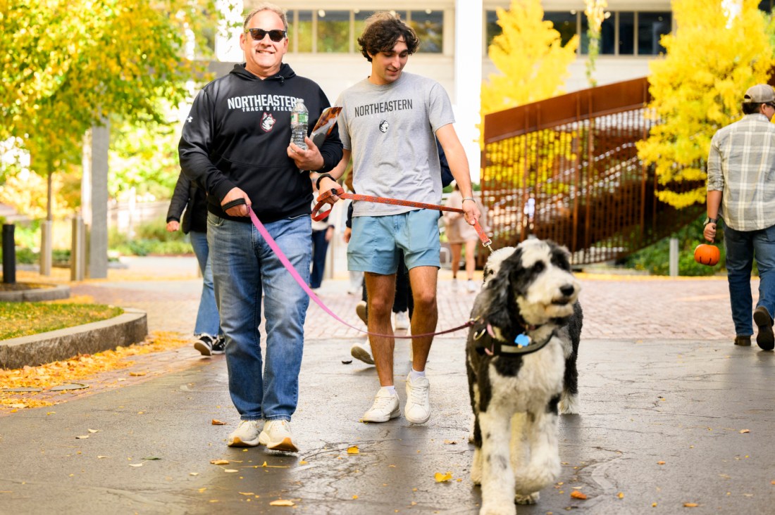 A student and their parent walking dogs on campus.