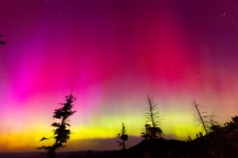 Colorful northern lights fill the night sky over a forested area.