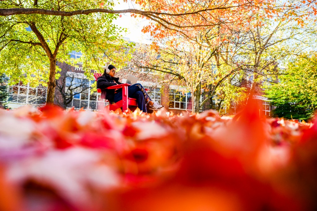 Person sitting among autumn leaves with a laptop.