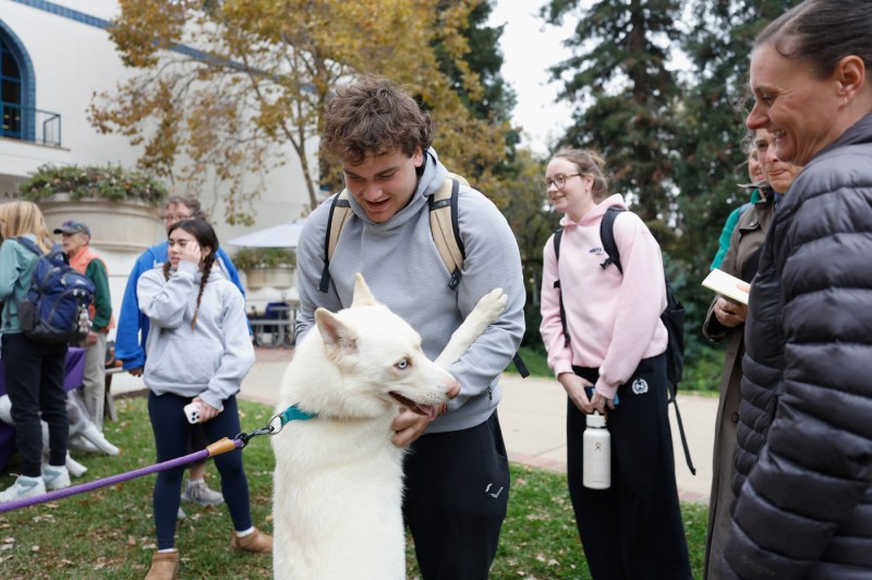 A group of students standing around a white husky dog.