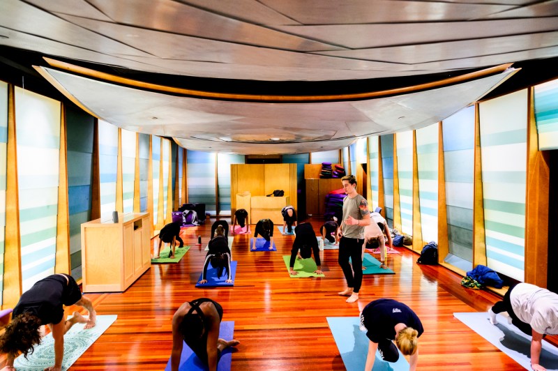 People doing yoga in Ell Hall.