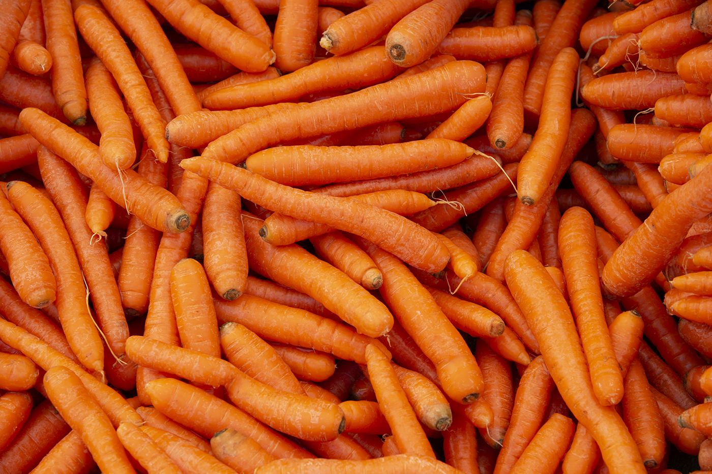 Now also carrots? Why are there so many food recalls lately? Cfic