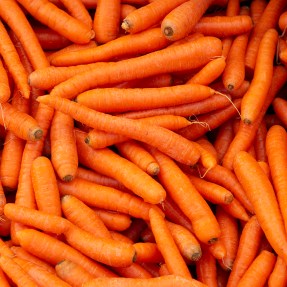 A pile of carrots.