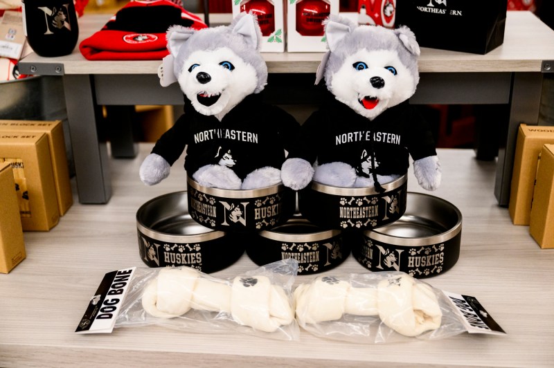 Northeastern branded dog toys and bowls.