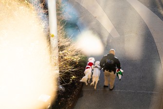 A security officer walks with Northeastern’s campus dogs, Cooper and Ryder, dressed in festive holiday attire on a sunlit pathway.