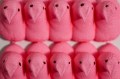 Row of pink colored candy Peeps.