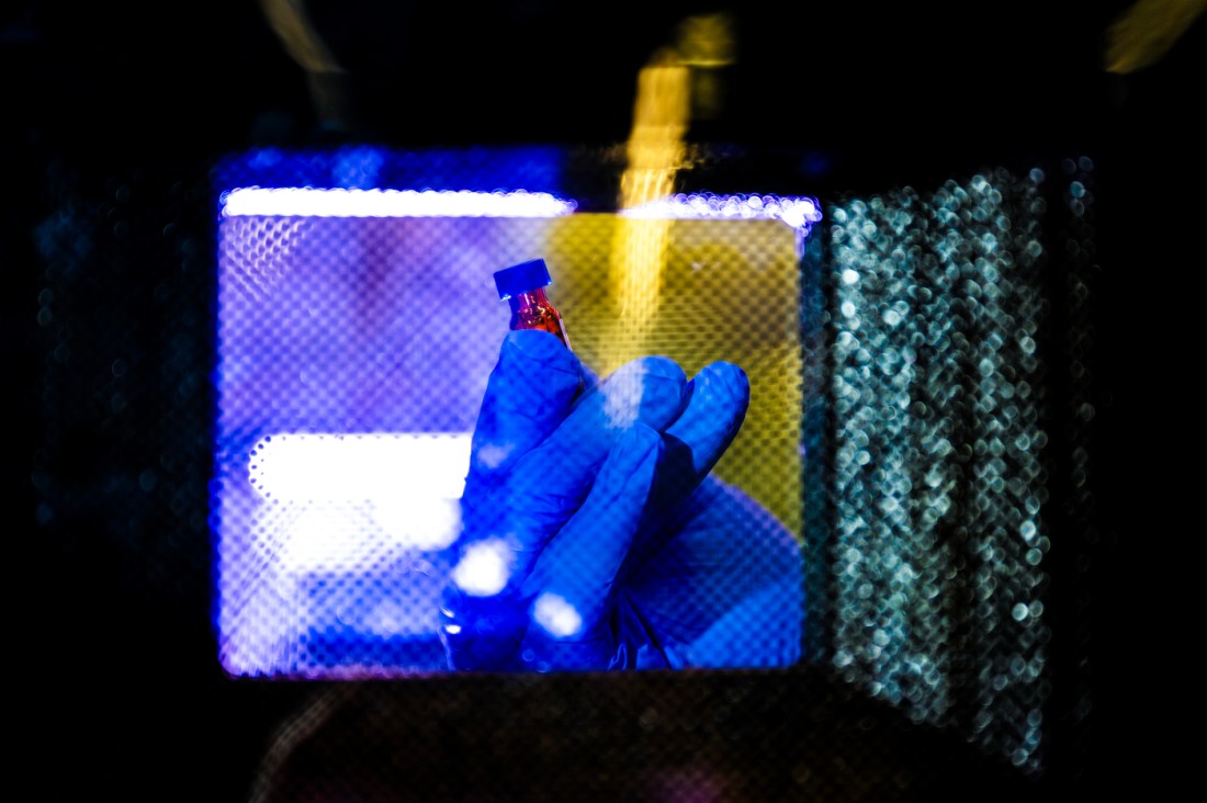 Jing-Ke Weng wearing blue gloves holding up a vial in the lab.