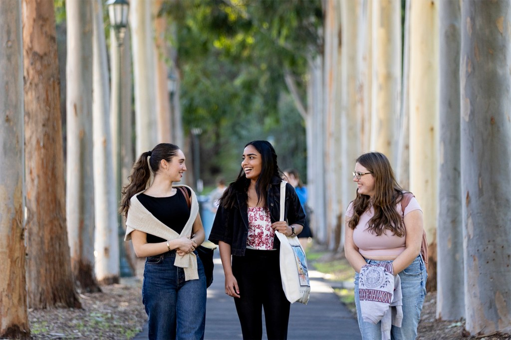 Three people walk together on a tree-lined pathway, engaged in conversation.