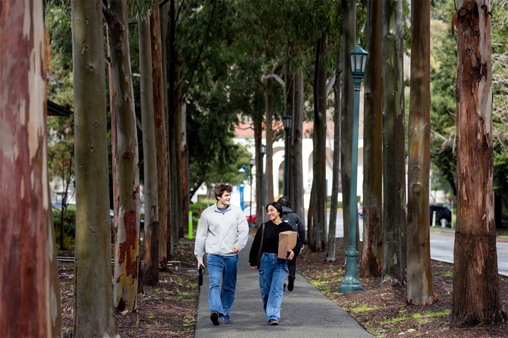 Two people walk along a tree-lined path and converse on a college campus.