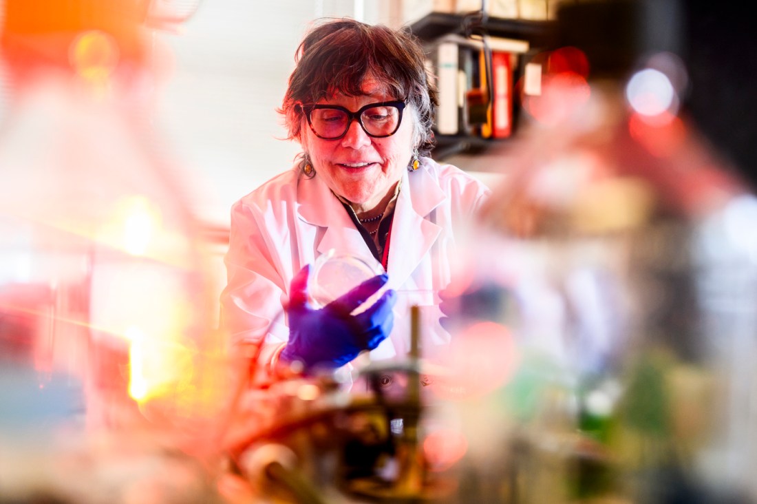 Veronica Godoy-Carter wearing a white lab coat and blue gloves sitting in a lab holding a petri dish.