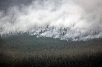 A forest fire in Canada photographed from above as smoke rises from the trees.