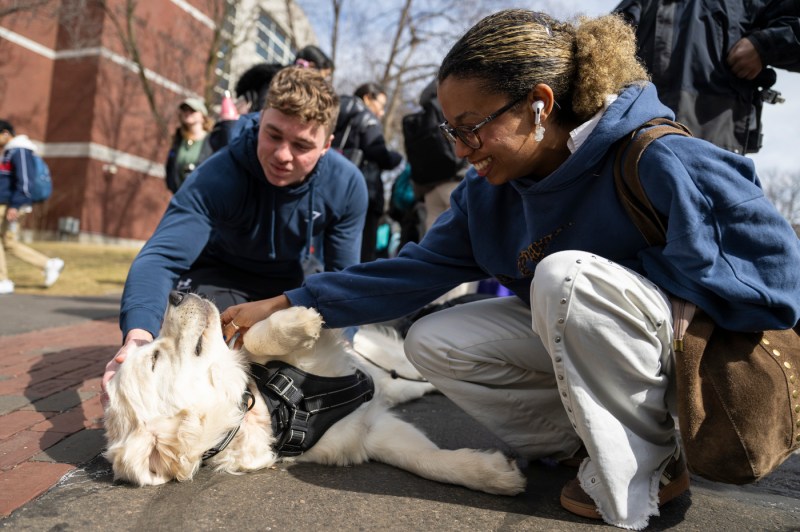 A group of people interacting with a dog outdoors on a college campus.