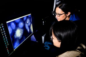 Sara Rouhanifard looking at molecular imaging on a computer screen in a lab.