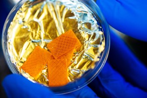 A gloved hand holding a petri dish with three rectangles of an orange material in it on top of a piece of aluminum foil.