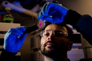 Justin Hayes examines a sample during gut microbiome research in a university lab.