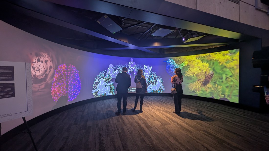 Visitors explore a Museum of Science exhibit featuring large-scale digital projections related to network science.