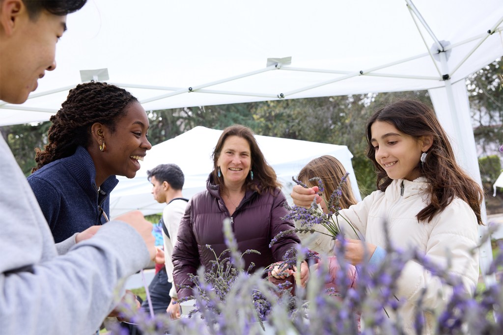 People standing underneath a white tent around a table full of lavender plants.