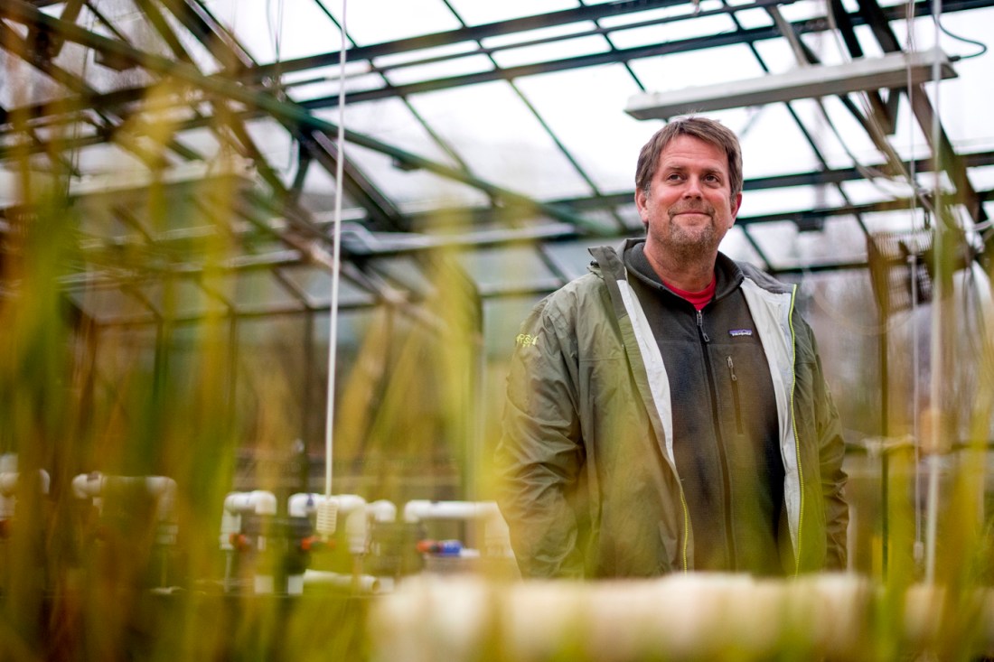 Geoffrey Trussel standing in a greenhouse structure in Nahant.