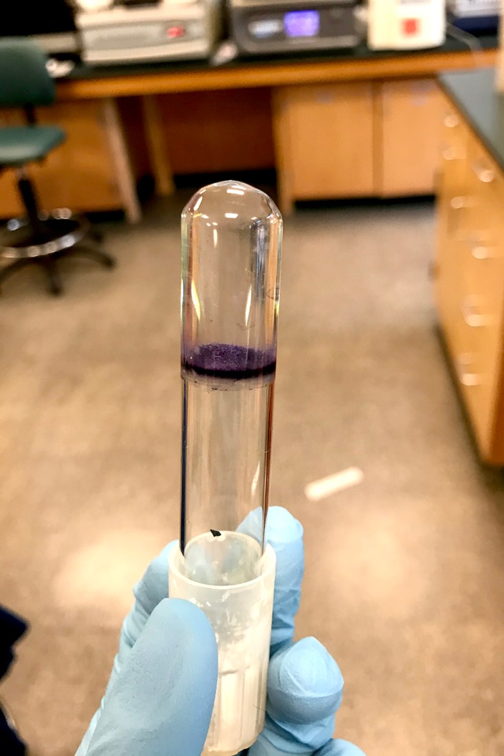 A purple-black ring in a test tube.