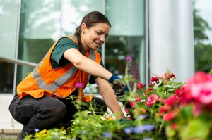 Kelly Young wearing an orange construction vest planting newsletters outside.