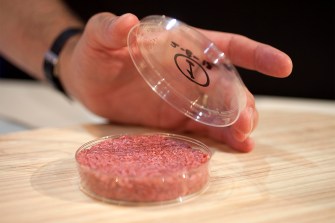 A petri dish with lab grown meat in it.