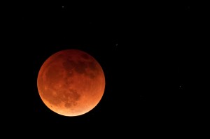 The moon during a lunar eclipse. It looks full and red against a dark night sky.