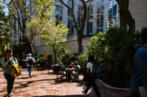 People walk and study in an outdoor courtyard surrounded by trees and a building, with sunlight filtering through the branches.