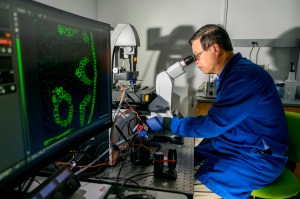 Researcher works in a lab studying cellular memory using specialized equipment and imaging tools.