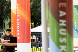 A person works on a laptop at an outdoor table surrounded by colorful banners on a sunny day.